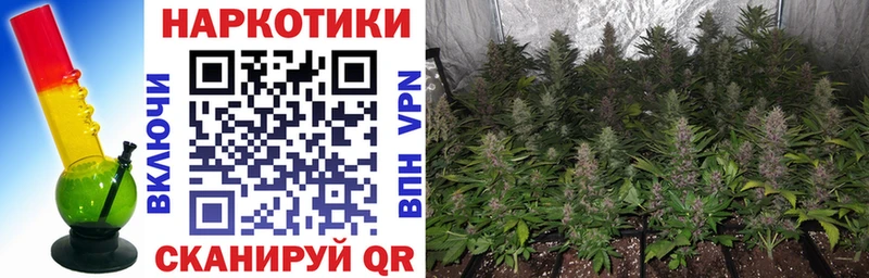 МЕТАМФЕТАМИН Западная Двина