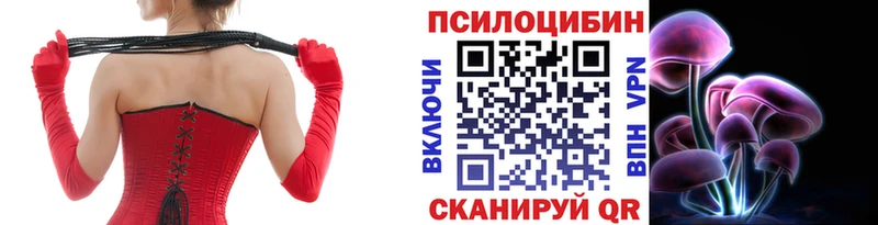 Псилоцибиновые грибы MAGIC MUSHROOMS  Западная Двина 