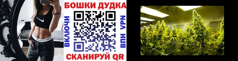 купить наркоту  Западная Двина  Канабис семена 